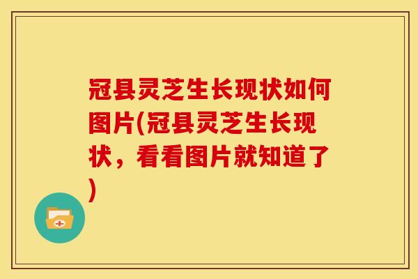 冠县灵芝生长现状如何图片(冠县灵芝生长现状,看看图片就知道了) 冠县灵芝生长现状如何图片(冠县灵芝生长现状,看看图片就知道了)