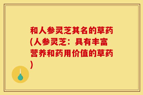 和人参灵芝其名的草药(人参灵芝：具有丰富营养和药用价值的草药)