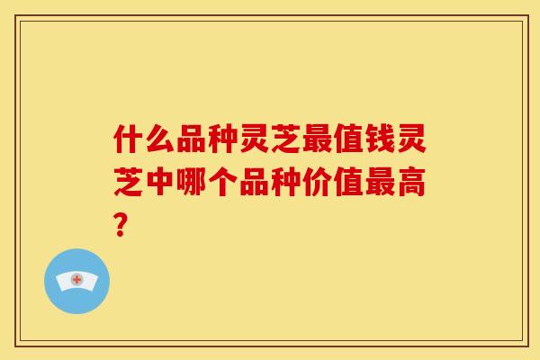 什么品种灵芝值钱灵芝中哪个品种价值高？