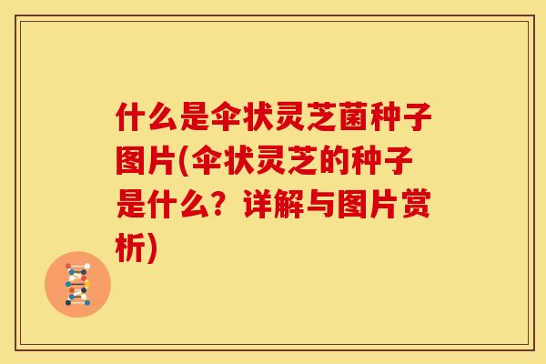 什么是伞状灵芝菌种子图片(伞状灵芝的种子是什么？详解与图片赏析)