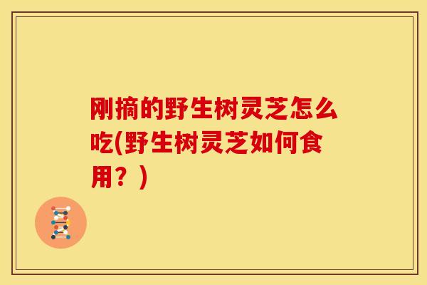 刚摘的野生树灵芝怎么吃(野生树灵芝如何食用?) 刚摘的野生树灵芝怎么吃(野生树灵芝如何食用?)