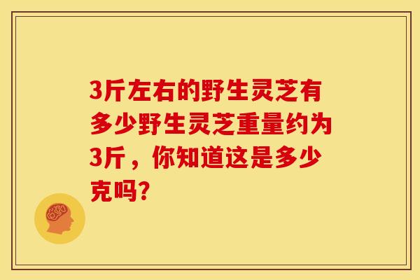 3斤左右的野生灵芝有多少野生灵芝重量约为3斤,你知道这是多少克吗? 3斤左右的野生灵芝有多少野生灵芝重量约为3斤,你知道这是多少克吗?