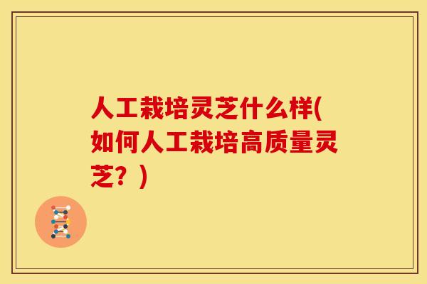 人工栽培灵芝什么样(如何人工栽培高质量灵芝?) 人工栽培灵芝什么样(如何人工栽培高质量灵芝?)