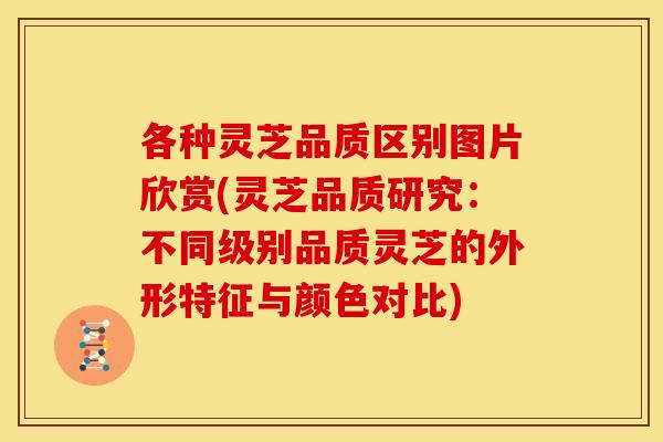 各种灵芝品质区别图片欣赏(灵芝品质研究:不同级别品质灵芝的外形特征与颜色对比) 各种灵芝品质区别图片欣赏(灵芝品质研究:不同级别品质灵芝的外形特征与颜色对比)