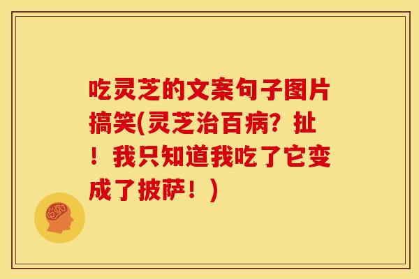 吃灵芝的文案句子图片搞笑(灵芝百？扯！我只知道我吃了它变成了披萨！)