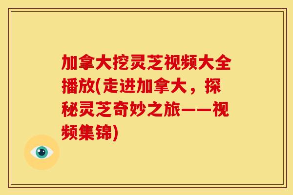 加拿大挖灵芝视频大全播放(走进加拿大，探秘灵芝奇妙之旅——视频集锦)