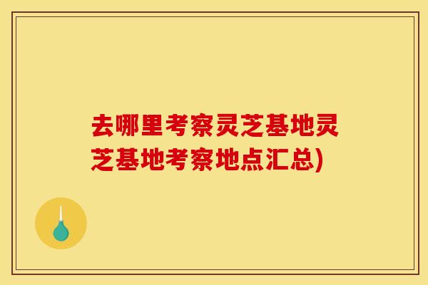 去哪里考察灵芝基地灵芝基地考察地点汇总) 去哪里考察灵芝基地灵芝基地考察地点汇总)