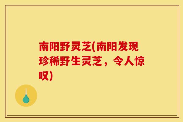 南阳野灵芝(南阳发现珍稀野生灵芝,令人惊叹) 南阳野灵芝(南阳发现珍稀野生灵芝,令人惊叹)