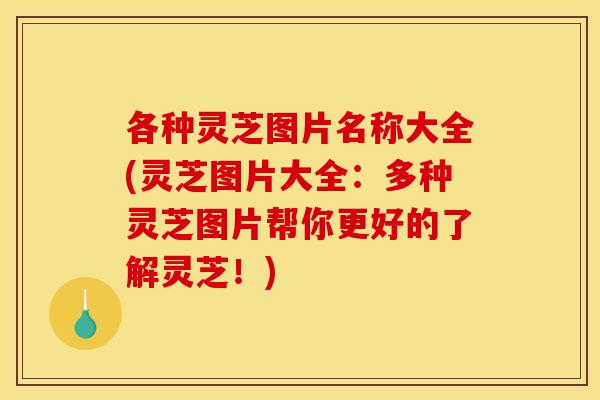 各种灵芝图片名称大全(灵芝图片大全:多种灵芝图片帮你更好的了解灵芝!) 各种灵芝图片名称大全(灵芝图片大全:多种灵芝图片帮你更好的了解灵芝!)