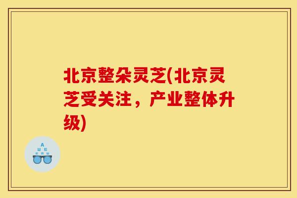 北京整朵灵芝(北京灵芝受关注，产业整体升级)
