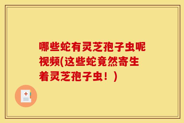 哪些蛇有灵芝孢子虫呢视频(这些蛇竟然寄生着灵芝孢子虫!) 哪些蛇有灵芝孢子虫呢视频(这些蛇竟然寄生着灵芝孢子虫!)