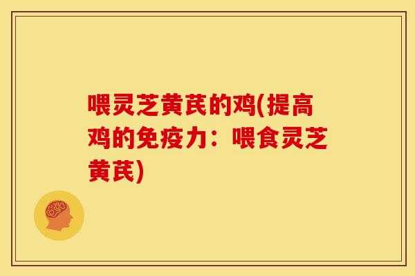 喂灵芝黄芪的鸡(提高鸡的免疫力:喂食灵芝黄芪) 喂灵芝黄芪的鸡(提高鸡的免疫力:喂食灵芝黄芪)