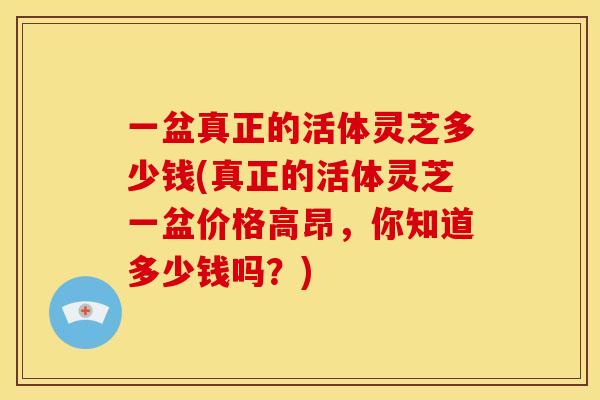 一盆真正的活体灵芝多少钱(真正的活体灵芝一盆价格高昂,你知道多少钱吗?) 一盆真正的活体灵芝多少钱(真正的活体灵芝一盆价格高昂,你知道多少钱吗?)