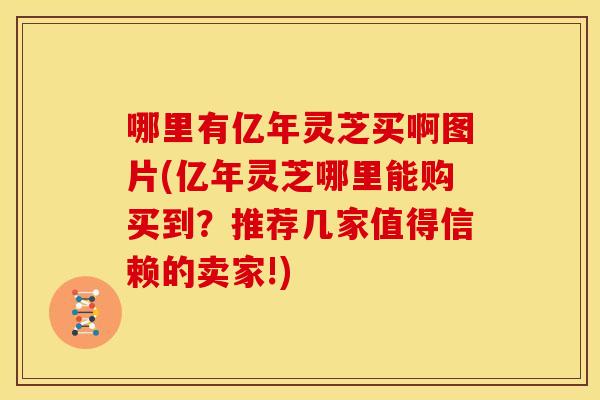 哪里有亿年灵芝买啊图片(亿年灵芝哪里能购买到?推荐几家值得信赖的卖家!) 哪里有亿年灵芝买啊图片(亿年灵芝哪里能购买到?推荐几家值得信赖的卖家!)