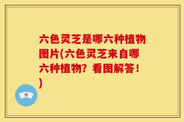 六色灵芝是哪六种植物图片(六色灵芝来自哪六种植物?看图解答!) 六色灵芝是哪六种植物图片(六色灵芝来自哪六种植物?看图解答!)