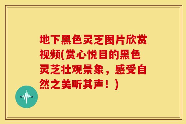地下黑色灵芝图片欣赏视频(赏心悦目的黑色灵芝壮观景象，感受自然之美听其声！)