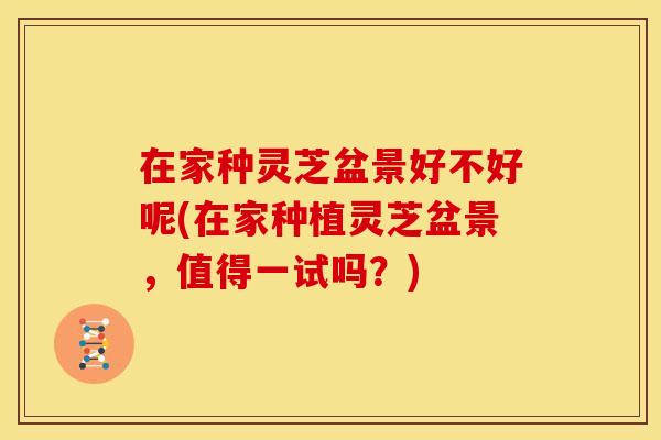 在家种灵芝盆景好不好呢(在家种植灵芝盆景,值得一试吗?) 在家种灵芝盆景好不好呢(在家种植灵芝盆景,值得一试吗?)