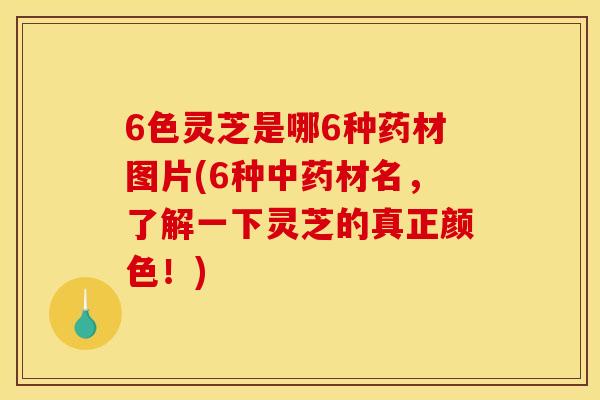 6色灵芝是哪6种药材图片(6种材名,了解一下灵芝的真正颜色!) 6色灵芝是哪6种药材图片(6种材名,了解一下灵芝的真正颜色!)