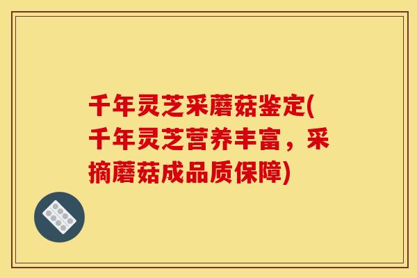 千年灵芝采蘑菇鉴定(千年灵芝营养丰富，采摘蘑菇成品质保障)