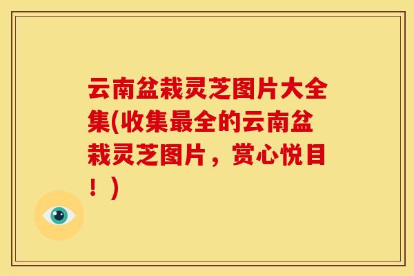 云南盆栽灵芝图片大全集(收集全的云南盆栽灵芝图片,赏心悦目!) 云南盆栽灵芝图片大全集(收集全的云南盆栽灵芝图片,赏心悦目!)