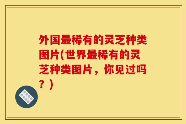 外国稀有的灵芝种类图片(世界稀有的灵芝种类图片,你见过吗?) 外国稀有的灵芝种类图片(世界稀有的灵芝种类图片,你见过吗?)