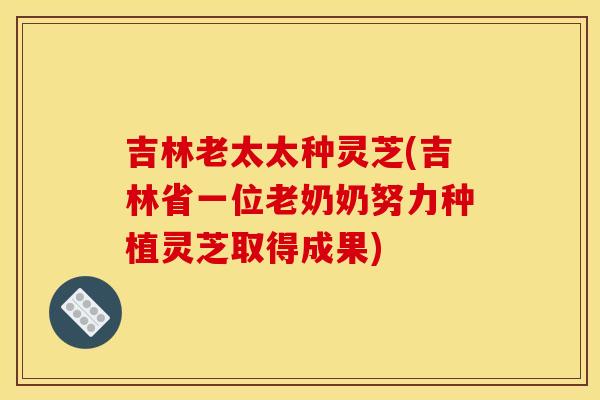 吉林老太太种灵芝(吉林省一位老奶奶努力种植灵芝取得成果) 吉林老太太种灵芝(吉林省一位老奶奶努力种植灵芝取得成果)
