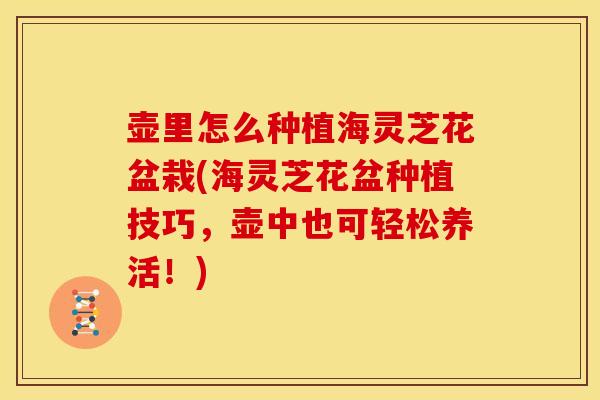 壶里怎么种植海灵芝花盆栽(海灵芝花盆种植技巧,壶中也可轻松养活!) 壶里怎么种植海灵芝花盆栽(海灵芝花盆种植技巧,壶中也可轻松养活!)