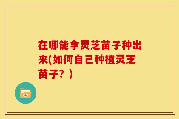 在哪能拿灵芝苗子种出来(如何自己种植灵芝苗子?) 在哪能拿灵芝苗子种出来(如何自己种植灵芝苗子?)