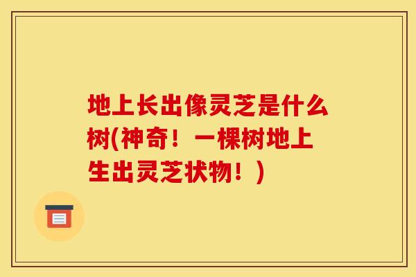 地上长出像灵芝是什么树(神奇!一棵树地上生出灵芝状物!) 地上长出像灵芝是什么树(神奇!一棵树地上生出灵芝状物!)