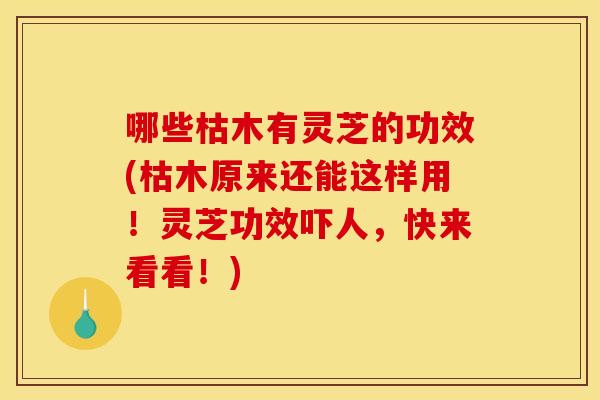 哪些枯木有灵芝的功效(枯木原来还能这样用!灵芝功效吓人,快来看看!) 哪些枯木有灵芝的功效(枯木原来还能这样用!灵芝功效吓人,快来看看!)