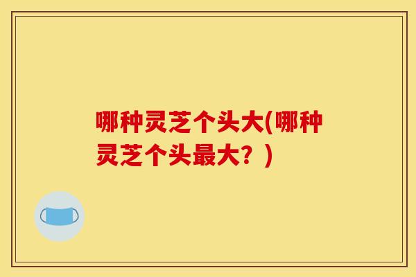 哪种灵芝个头大(哪种灵芝个头大？)