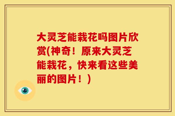 大灵芝能栽花吗图片欣赏(神奇!原来大灵芝能栽花,快来看这些美丽的图片!) 大灵芝能栽花吗图片欣赏(神奇!原来大灵芝能栽花,快来看这些美丽的图片!)