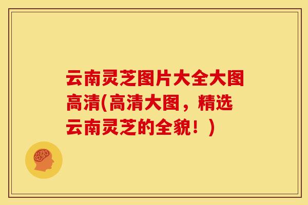 云南灵芝图片大全大图高清(高清大图,精选云南灵芝的全貌!) 云南灵芝图片大全大图高清(高清大图,精选云南灵芝的全貌!)