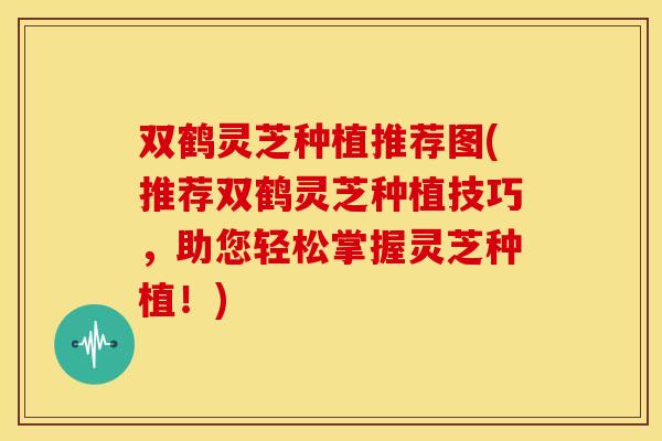 双鹤灵芝种植推荐图(推荐双鹤灵芝种植技巧,助您轻松掌握灵芝种植!) 双鹤灵芝种植推荐图(推荐双鹤灵芝种植技巧,助您轻松掌握灵芝种植!)