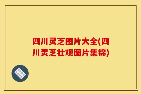 四川灵芝图片大全(四川灵芝壮观图片集锦) 四川灵芝图片大全(四川灵芝壮观图片集锦)