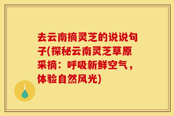 去云南摘灵芝的说说句子(探秘云南灵芝草原采摘:新鲜空气,体验自然风光) 去云南摘灵芝的说说句子(探秘云南灵芝草原采摘:新鲜空气,体验自然风光)
