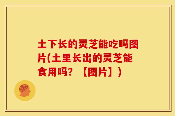 土下长的灵芝能吃吗图片(土里长出的灵芝能食用吗?【图片】) 土下长的灵芝能吃吗图片(土里长出的灵芝能食用吗?【图片】)