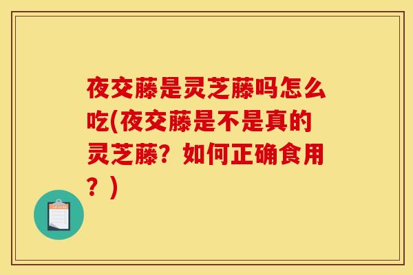 夜交藤是灵芝藤吗怎么吃(夜交藤是不是真的灵芝藤?如何正确食用?) 夜交藤是灵芝藤吗怎么吃(夜交藤是不是真的灵芝藤?如何正确食用?)
