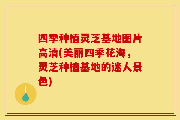 四季种植灵芝基地图片高清(美丽四季花海,灵芝种植基地的迷人景色) 四季种植灵芝基地图片高清(美丽四季花海,灵芝种植基地的迷人景色)