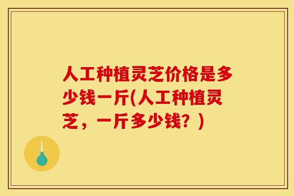 人工种植灵芝价格是多少钱一斤(人工种植灵芝，一斤多少钱？)