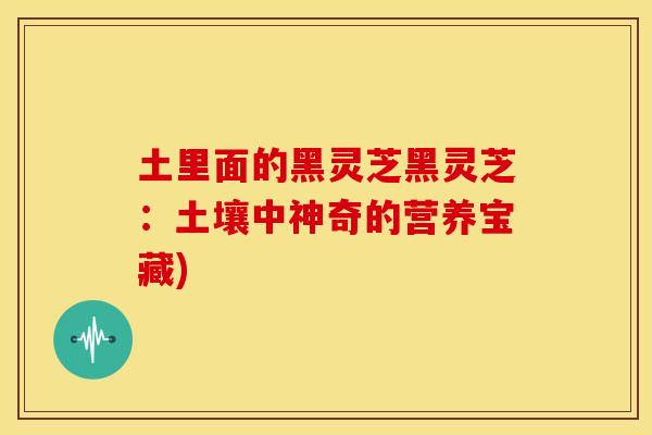 土里面的黑灵芝黑灵芝:土壤中神奇的营养宝藏) 土里面的黑灵芝黑灵芝:土壤中神奇的营养宝藏)