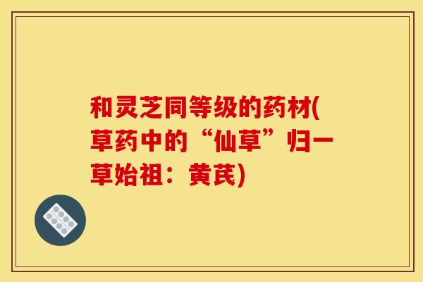 和灵芝同等级的药材(草药中的“仙草”归一草始祖:黄芪) 和灵芝同等级的药材(草药中的“仙草”归一草始祖:黄芪)