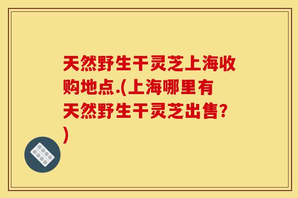 天然野生干灵芝上海收购地点.(上海哪里有天然野生干灵芝出售？)