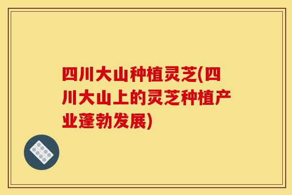 四川大山种植灵芝(四川大山上的灵芝种植产业蓬勃发展)