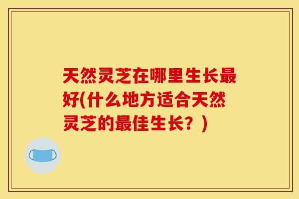 天然灵芝在哪里生长好(什么地方适合天然灵芝的佳生长?) 天然灵芝在哪里生长好(什么地方适合天然灵芝的佳生长?)