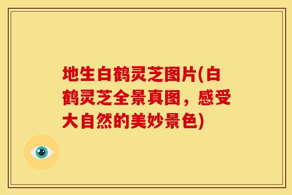 地生白鹤灵芝图片(白鹤灵芝全景真图,感受大自然的美妙景色) 地生白鹤灵芝图片(白鹤灵芝全景真图,感受大自然的美妙景色)