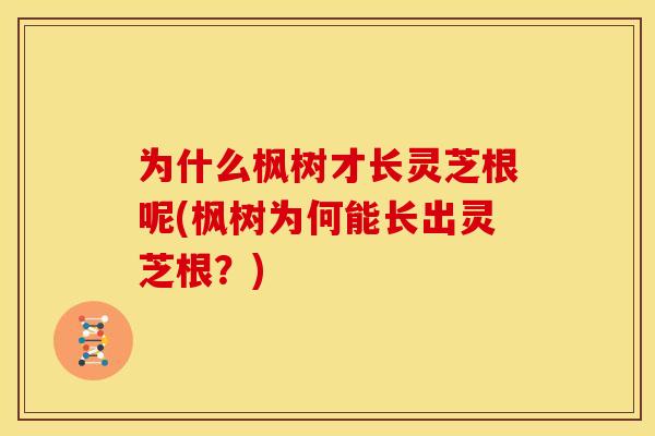 为什么枫树才长灵芝根呢(枫树为何能长出灵芝根?) 为什么枫树才长灵芝根呢(枫树为何能长出灵芝根?)