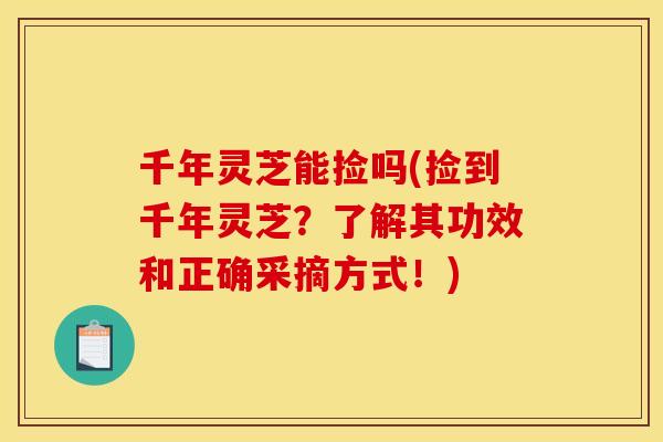 千年灵芝能捡吗(捡到千年灵芝?了解其功效和正确采摘方式!) 千年灵芝能捡吗(捡到千年灵芝?了解其功效和正确采摘方式!)