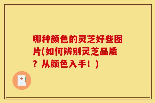 哪种颜色的灵芝好些图片(如何辨别灵芝品质?从颜色入手!) 哪种颜色的灵芝好些图片(如何辨别灵芝品质?从颜色入手!)