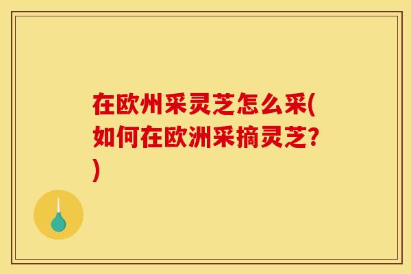 在欧州采灵芝怎么采(如何在欧洲采摘灵芝？)